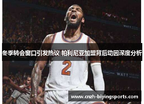冬季转会窗口引发热议 帕利尼亚加盟背后动因深度分析