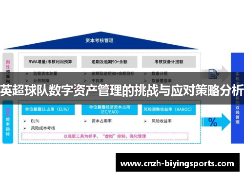 英超球队数字资产管理的挑战与应对策略分析