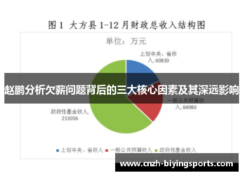 赵鹏分析欠薪问题背后的三大核心因素及其深远影响