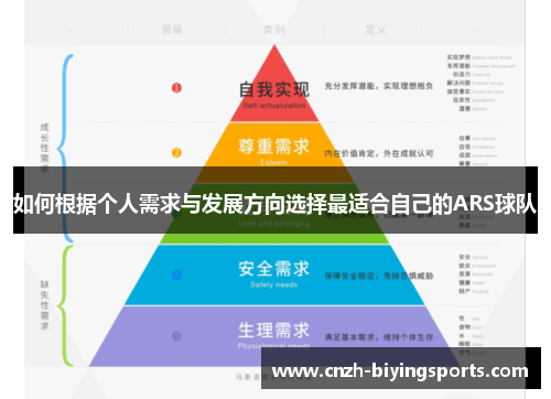 如何根据个人需求与发展方向选择最适合自己的ARS球队