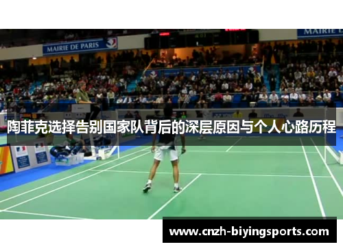 陶菲克选择告别国家队背后的深层原因与个人心路历程