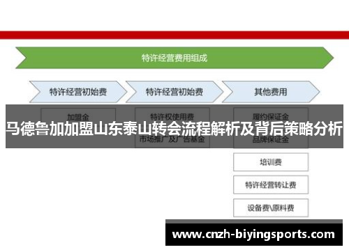 马德鲁加加盟山东泰山转会流程解析及背后策略分析