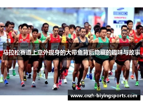 马拉松赛道上意外现身的大带鱼背后隐藏的趣味与故事